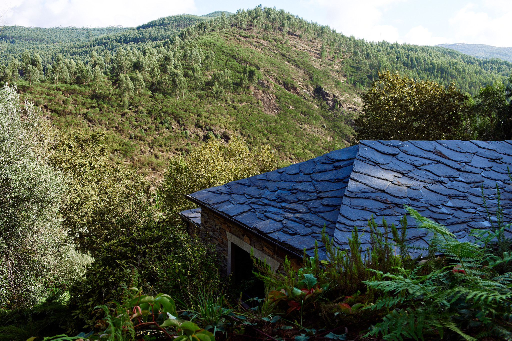 Self-Sufficient Living, Arouca