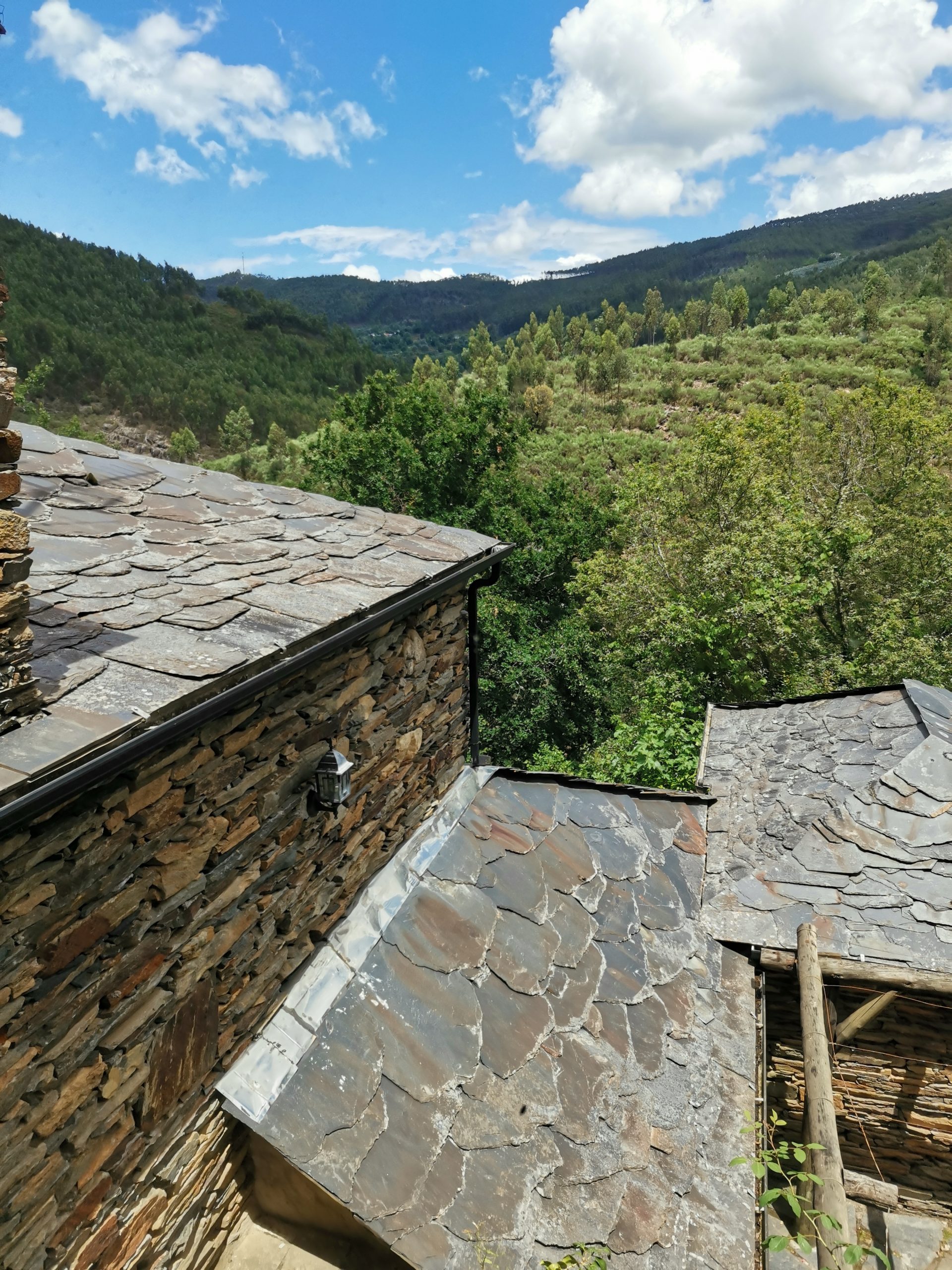 Self-Sufficient Living — Before